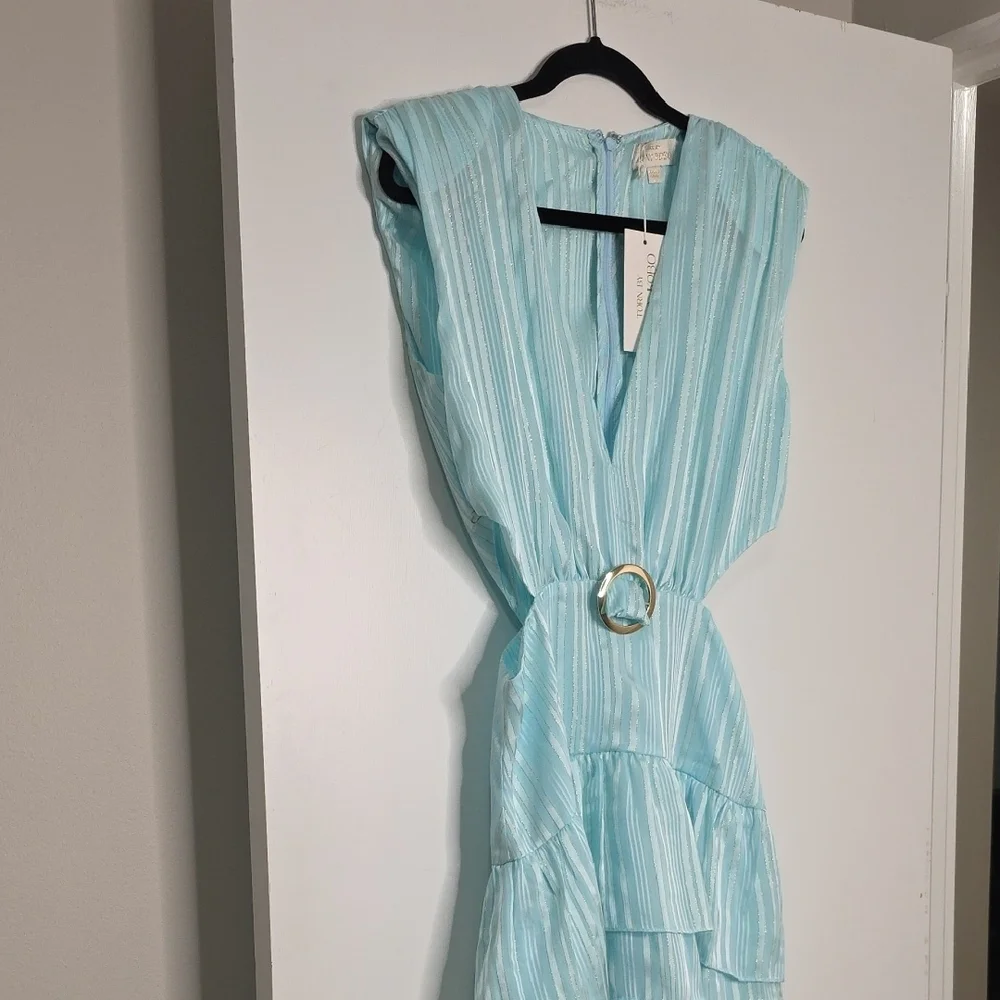 Torn by Ronny Kobo CASSIE SLEEVELESS DRESS - Picture 4 of 9